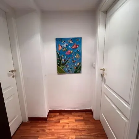 Apartment Niccolini Florence